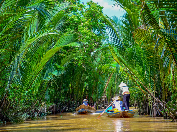 Padlebåter i Mekongdeltaet, Vietnam