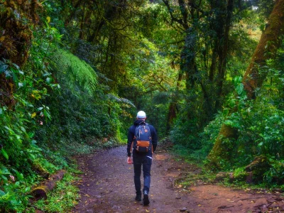 Mann går på en sti i Monteverde i Costa Rica
