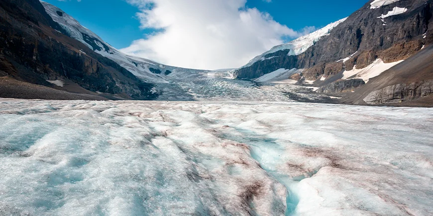 Athabasca-breen i Canada