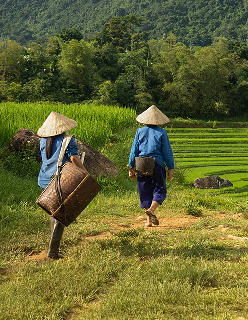 To kvinner på vei ut for å arbeide i rismarkene i Pu Luong naturreservat i Vietnam