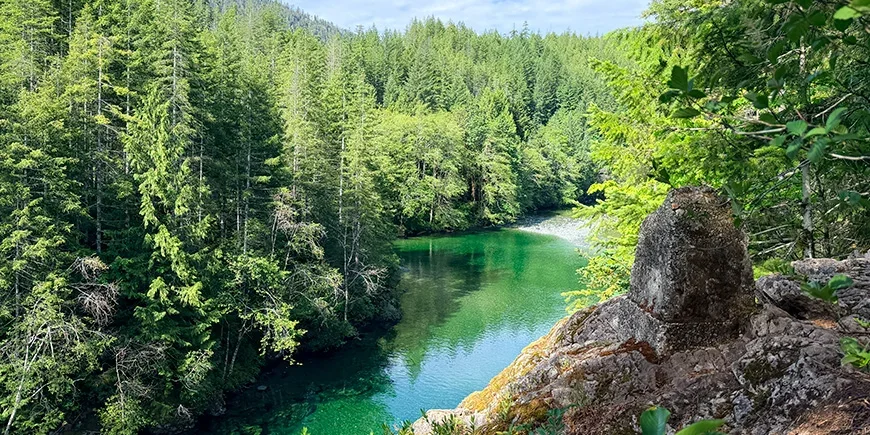 Vakker natur med grønne trær og en elv på Vancouver Island i Canada