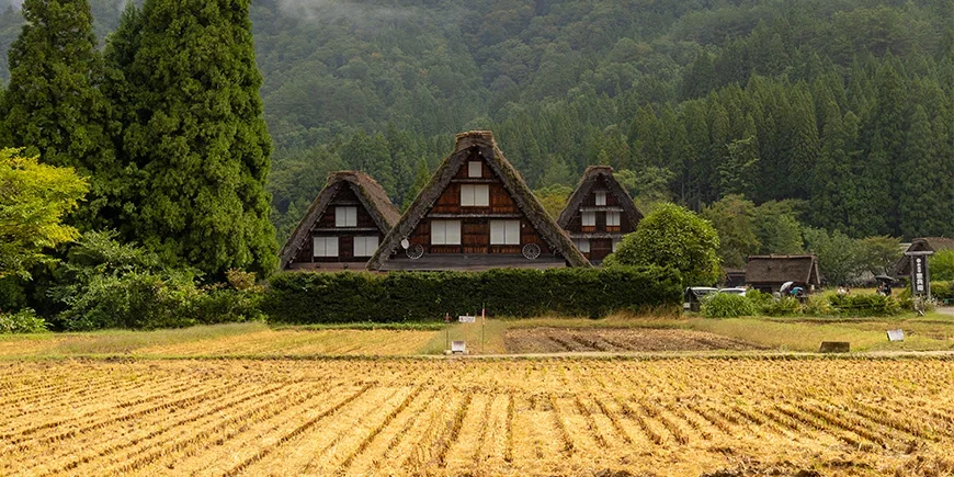 De berømte gassho-zukuri-husene i Shirakawa-Go i de japanske Alpene