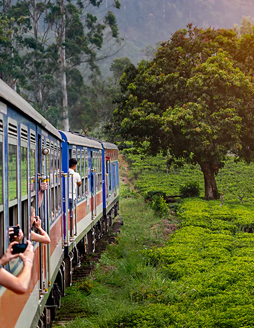 Togreise fra Nuwara Eliya til Kandy gjennom teplantasjene i høylandet på Sri Lanka