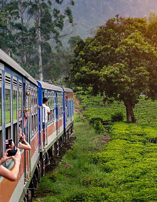 Togreise fra Nuwara Eliya til Kandy gjennom teplantasjene i høylandet på Sri Lanka