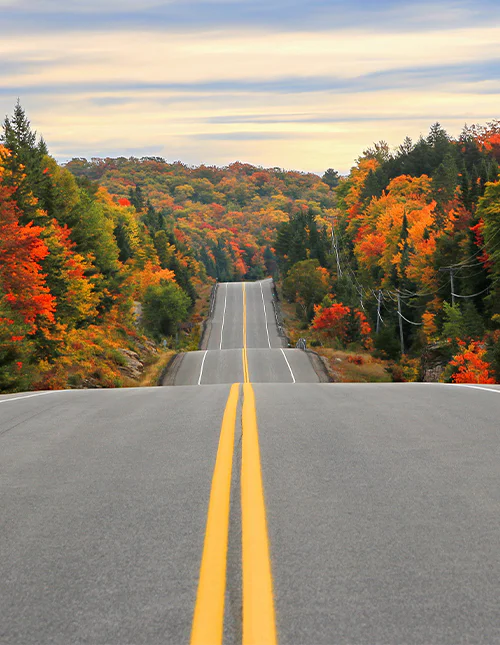 Veistrekning gjennom Algonquin Provincial Park om høsten, Ontario, Canada