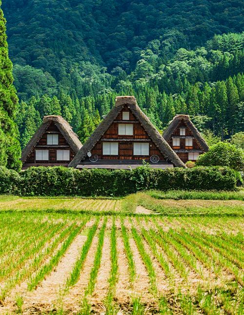 Shirakawa-go om høsten