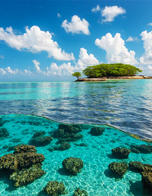 Bilde av det vakre turkisblå vannet i Malindi Marinepark
