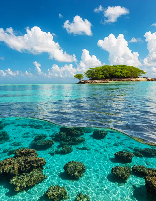 Bilde av det vakre turkisblå vannet i Malindi Marinepark