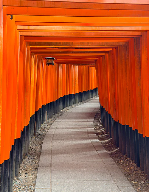 Torii-porten ved Fushimi Inari i Kyoto, Japan