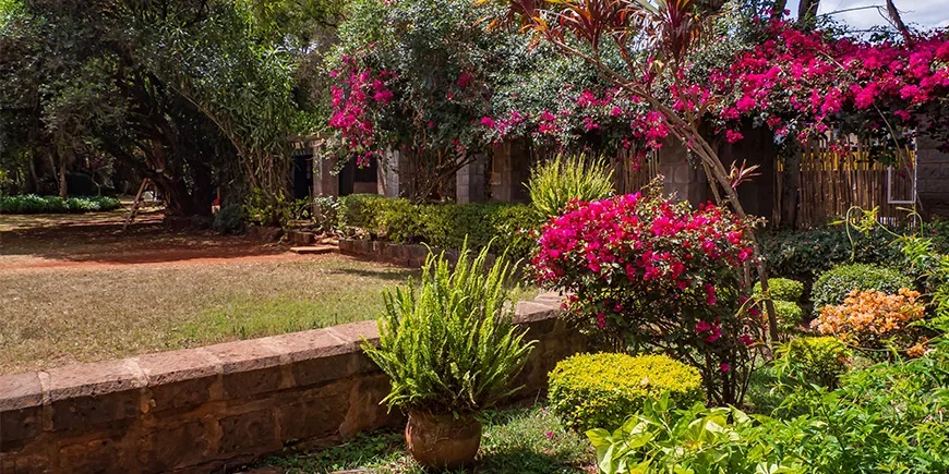 Blomster i Karen Coffee Garden
