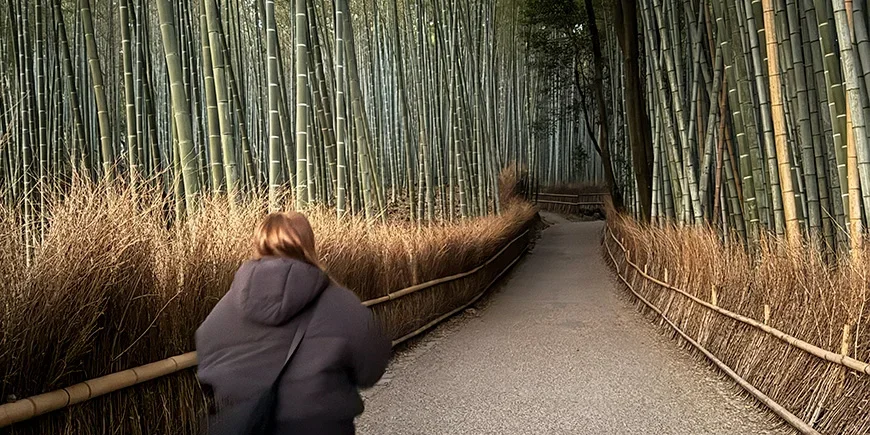 Kvinne går tur i Arashiyama-bambusskogen i Kyoto