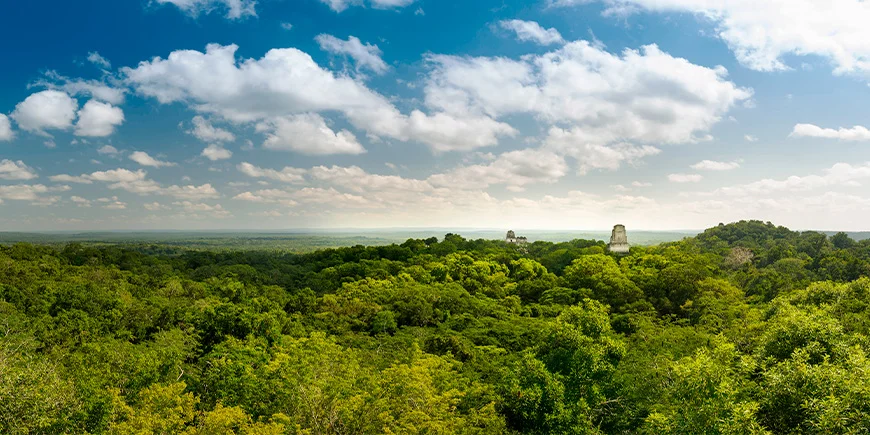 Oversikt over Tikal nasjonalpark med ruiner og regnskog