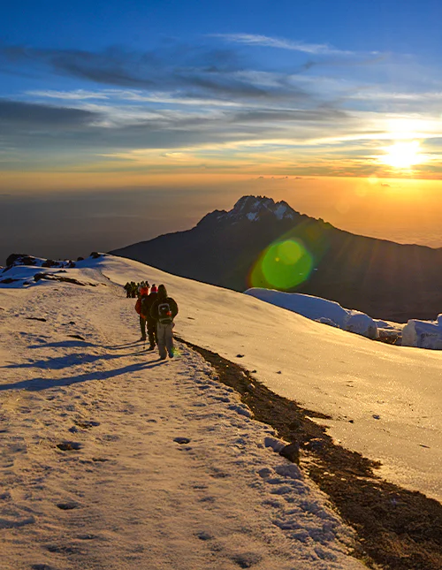 En gruppe vandrere går på Machame-ruten ved soloppgang
