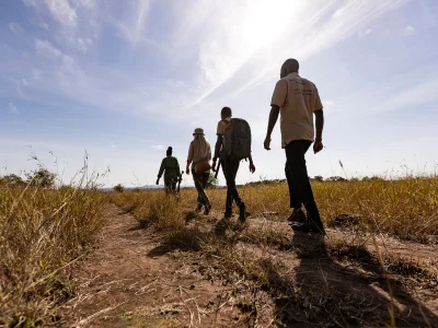 Gruppe av mennesker som går på savannen i Tanzania