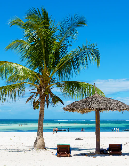 Vakker palmestrand med hvit sand i Mombasa