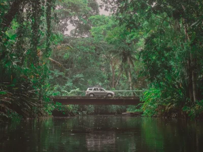 En bil kjører gjennom jungelen i Costa Rica