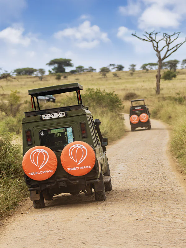 TourCompass-jeep på safari i Afrika