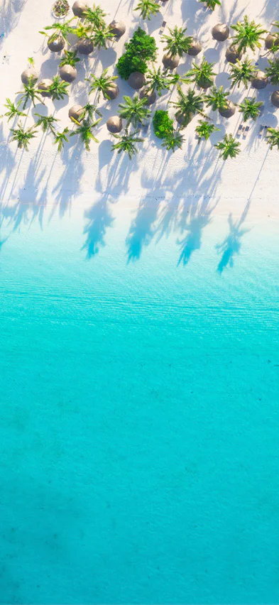 Strand på Zanzibar sett fra drone
