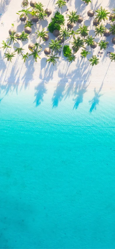 Strand på Zanzibar sett fra drone