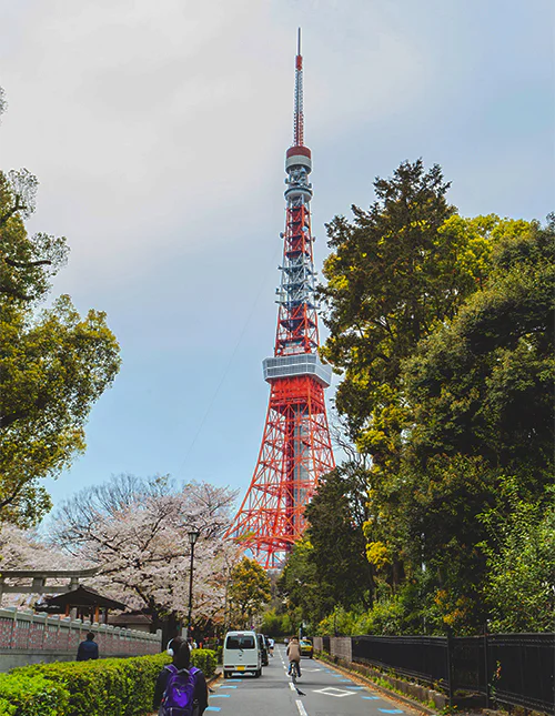 Tokyo Tower i sakura-sesongen i Tokyo, Japan
