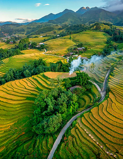 Luftfoto av rismarker eller risterrasser, Sapa, Vietnam.