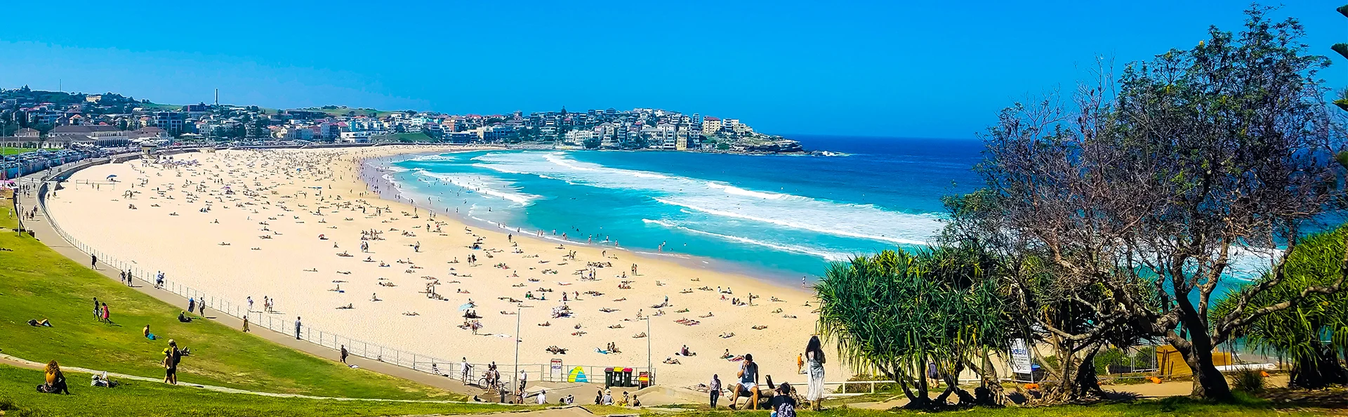 Panoramabilde av Bondi Beach under en blå himmel