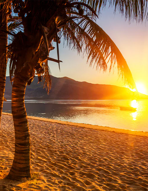 Vakker palmestrand på Mauritius ved solnedgang