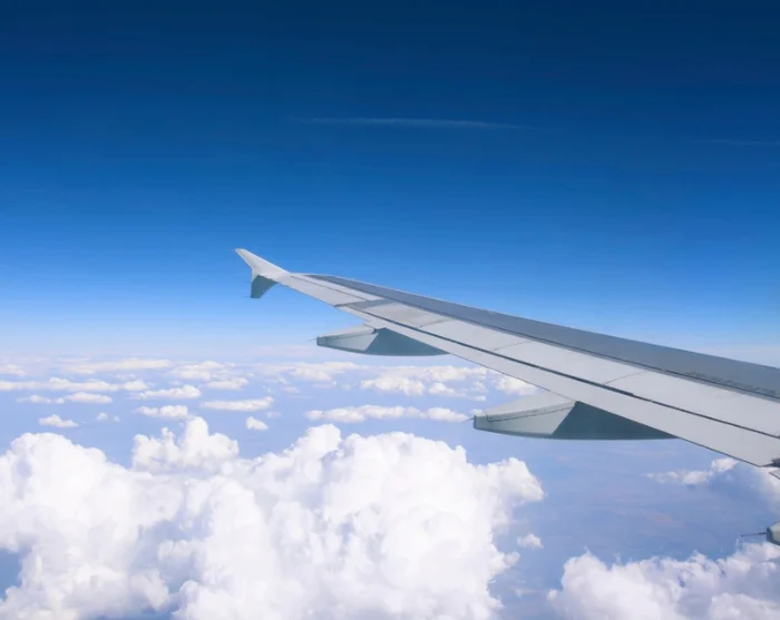 Flyvinge over skyene på vei til reisemålet