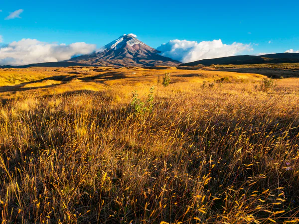 Vulkanen Cotopaxi under en klarblå himmel