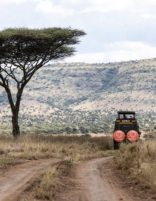 Safaribil med TourCompass-logo kjører gjennom savannelandskap