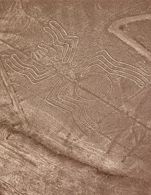Nazca-linje i ørkenen formet som en edderkopp