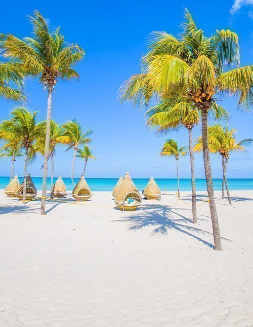 Vakker strand med palmetrær i Varadero, Cuba