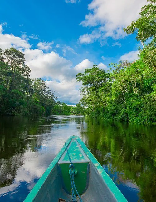Båttur gjennom Amazonasregnskogen