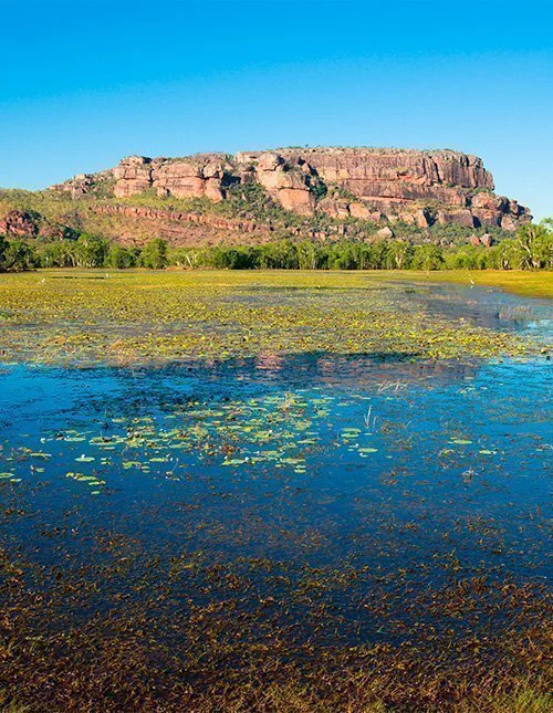 Utsikt mot Nourlangie fra Anbangbang Billabong, Kakadu nasjonalpark, Australia