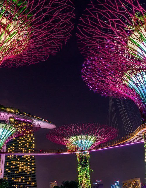 De opplyste Supertrees i Singapore lyser opp nattehimmelen.
