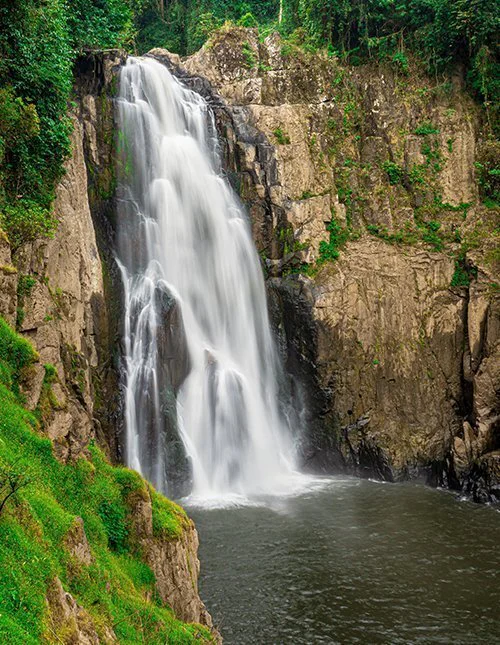 Foss i Khao Yai nasjonalpark, Thailand