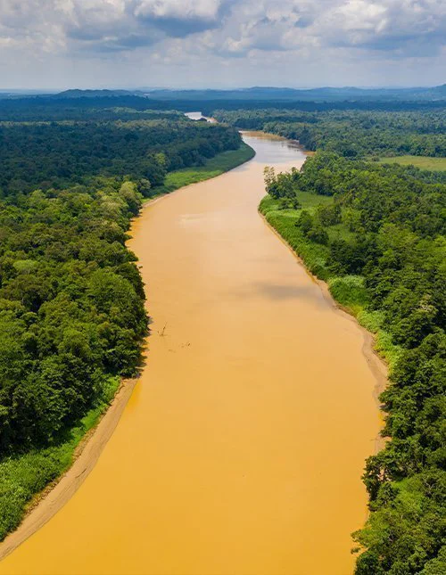 Dronefoto av Kinabatangan-elven, Borneo