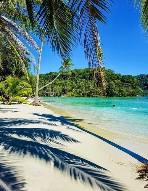På Koh Kood i Thailand svaier frodige palmer rolig over de myke sandstrendene