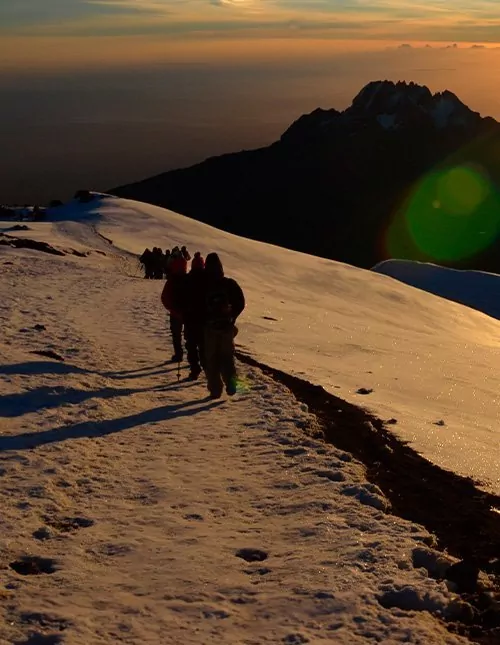 Machame-ruten & safari i 2 nasjonalparker