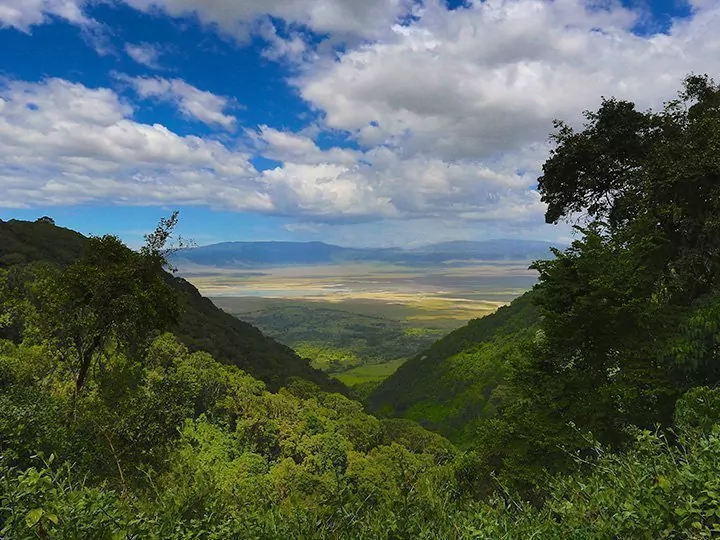 Safari i Serengeti & Ngorongoro og badeferie på Zanzibar