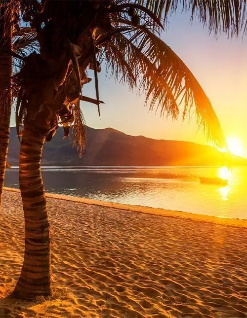 Safari i Sør-Afrika & badeferie på Mauritius