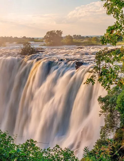 Safari i Sør-Afrika & Victoria Falls