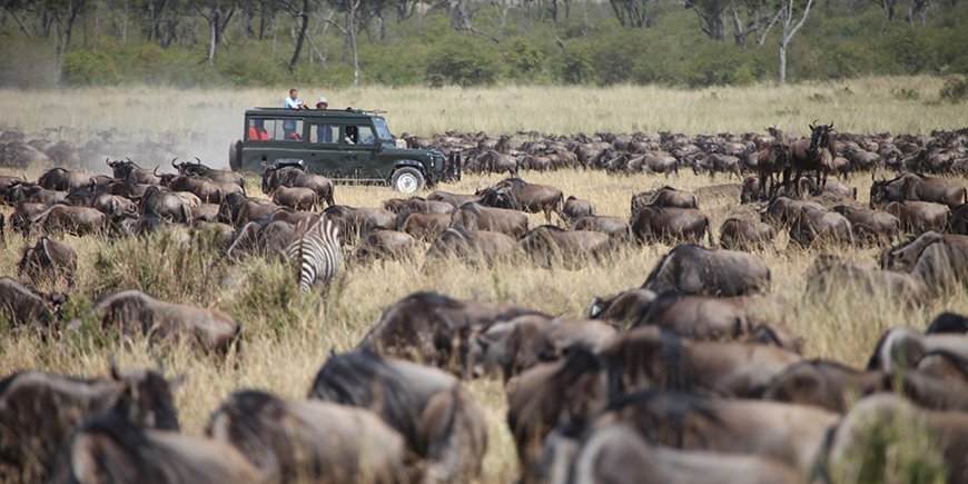 Migrasjonen fraan safaribil