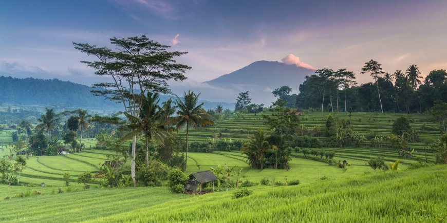 Bali natur