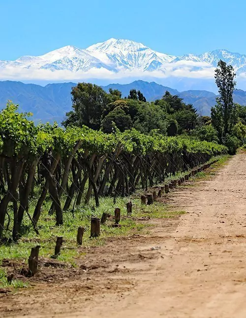 Chile & Argentina: Andesfjell, vin & Iguazú