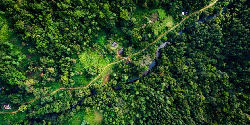 Flyfoto over Sinharaja Forest Reserve i Sri Lanka