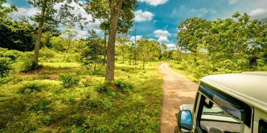 Jeepsafari i Sri Lanka nasjonalpark
