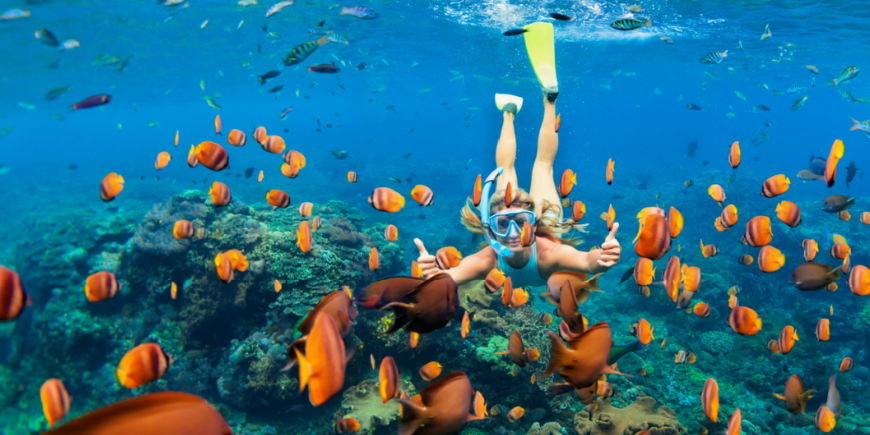 Snorkling på Bali