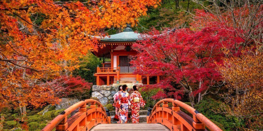 Unge kvinner iført tradisjonell japansk Yukata ved Daigo-ji templet om høsten 