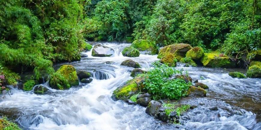 Savegre River i Manuel Antonio, Costa Rica 